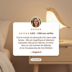 BirdZen - Bedside Lamp