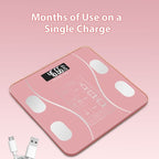 2026 Hot Sale Smart Body Fat Scale – 50% Off